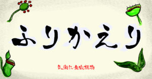 食虫植物の葉の生え方を比較してみる　|　成長観察記録【2025年8月25日】