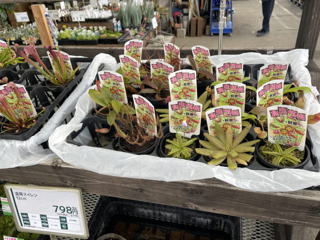 ホームセンター画像3