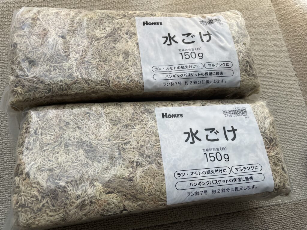 水苔画像1