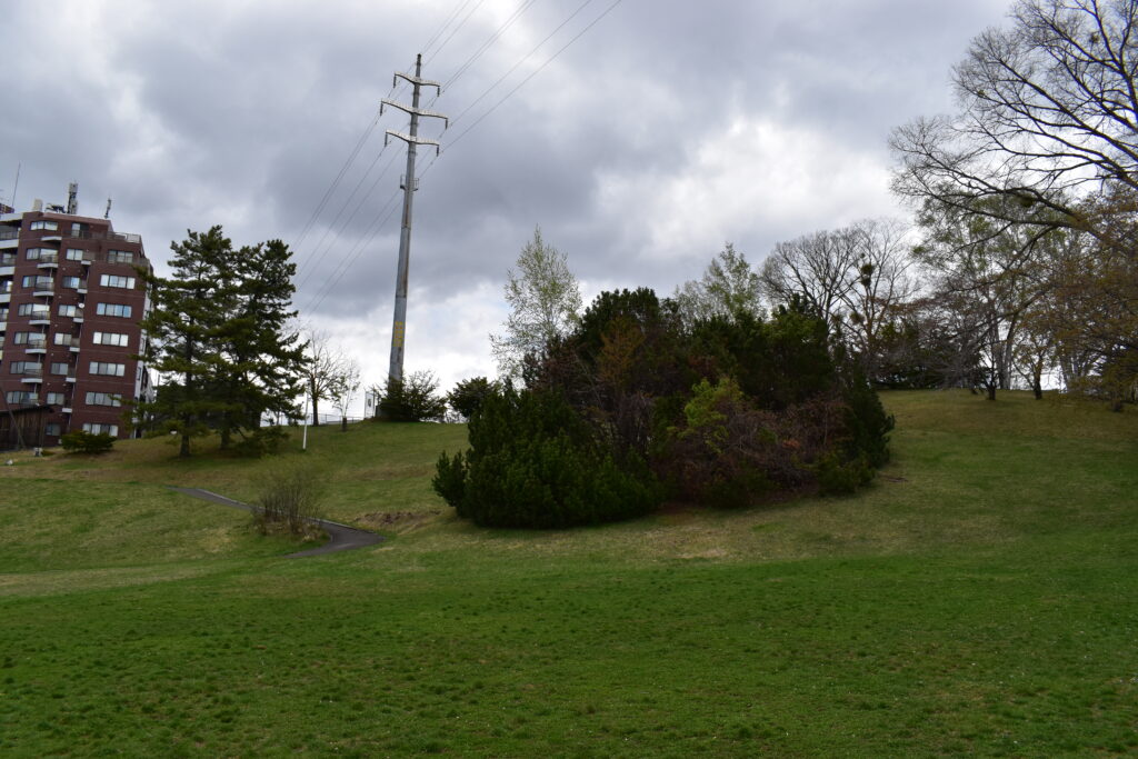 平岸高台公園画像1