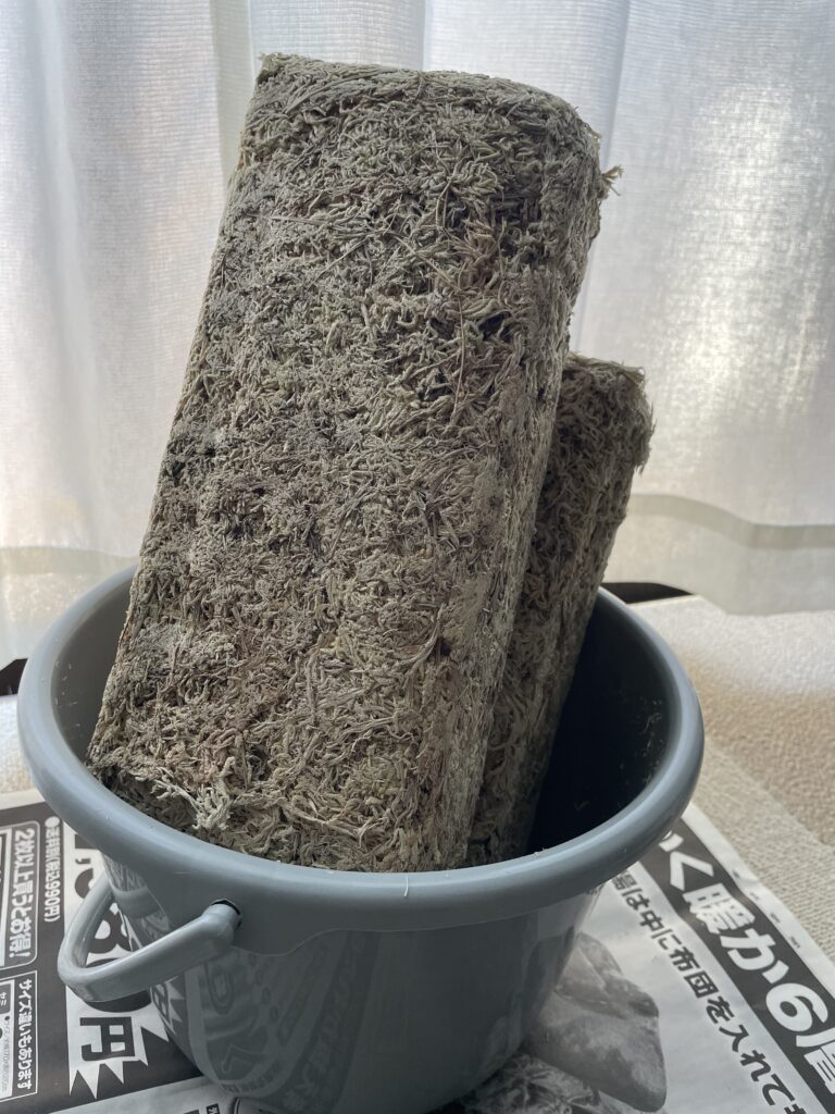 水苔とバケツ画像1