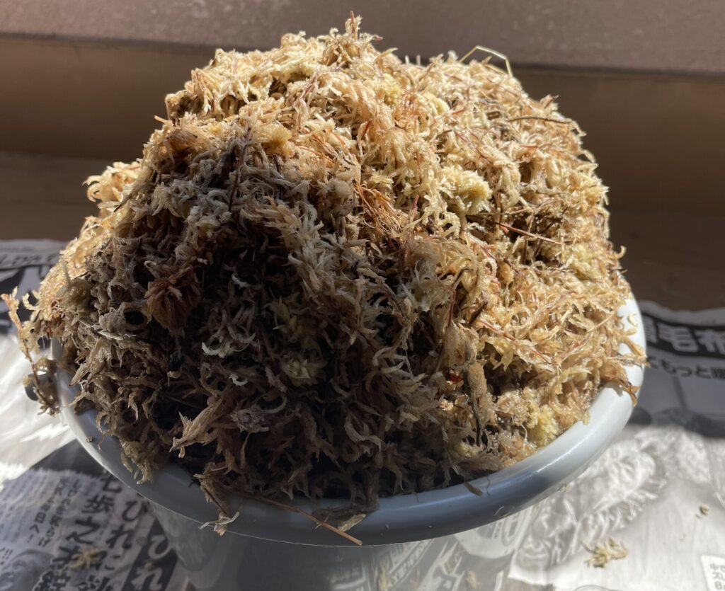 水苔とバケツ画像2