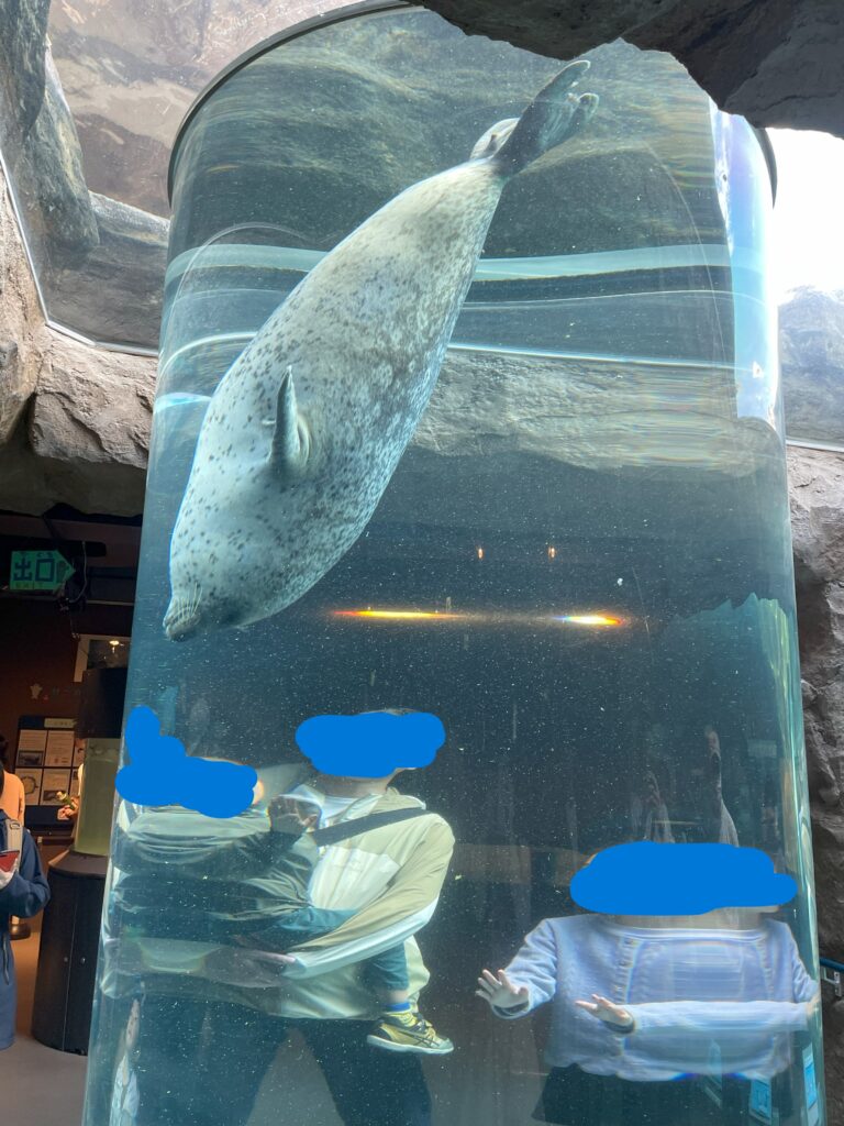 旭山動物園画像14
