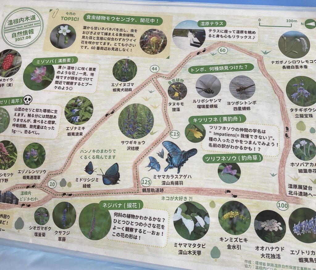 温根内木道画像1