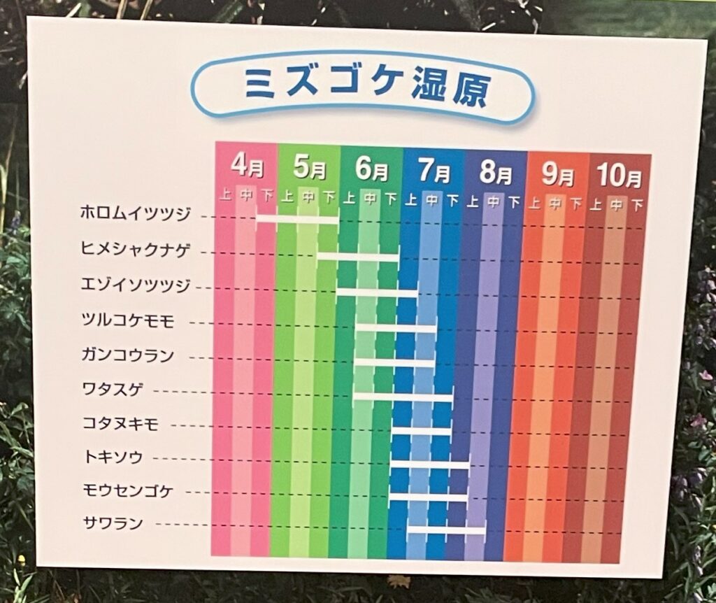 ミズゴケ湿原の植生画像1