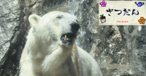 【2025年5月】旭山動物園感想 | レンタカー無しで旭川へ