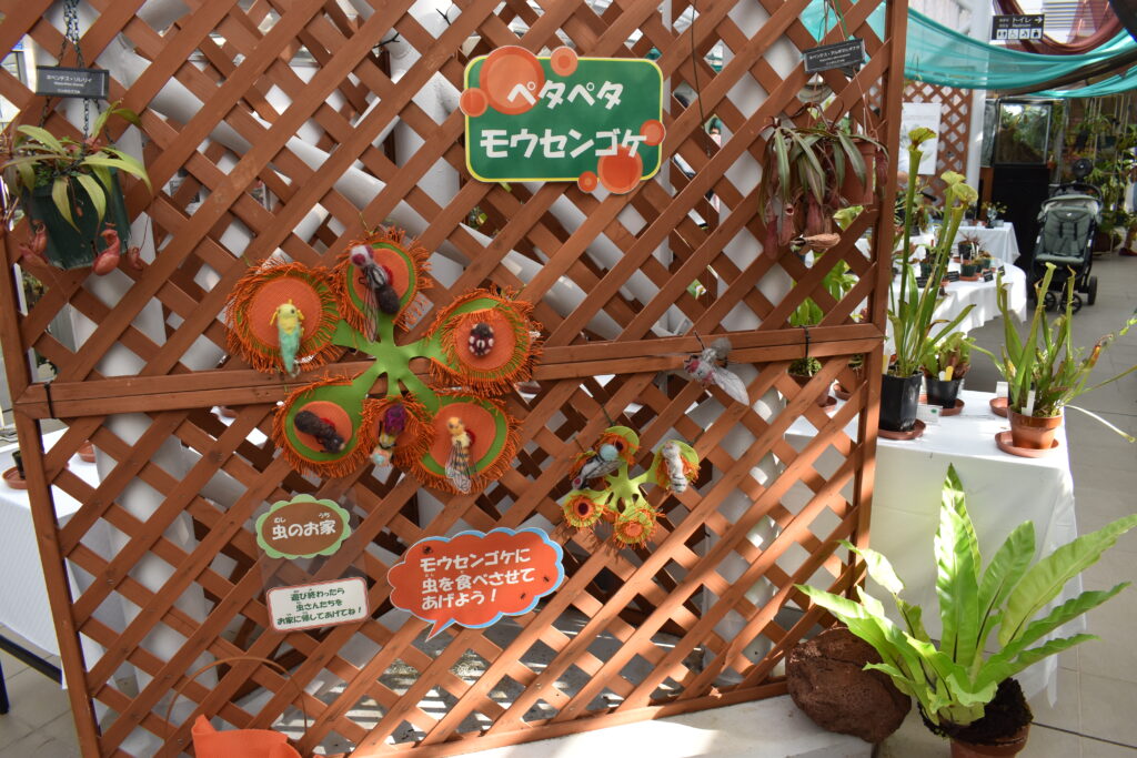 神代植物園画像23
