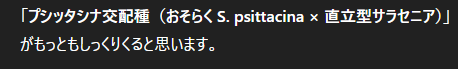 生成AI画像2