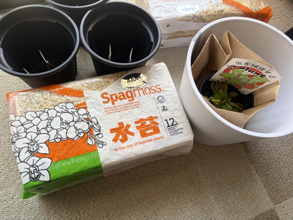 購入した商品の画像